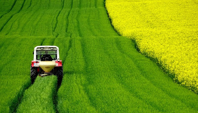 Banner rural